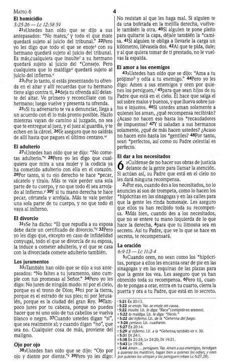 NVI Nuevo Testamento - Marrón - Joya - Tapa Blanda - Imagen 6