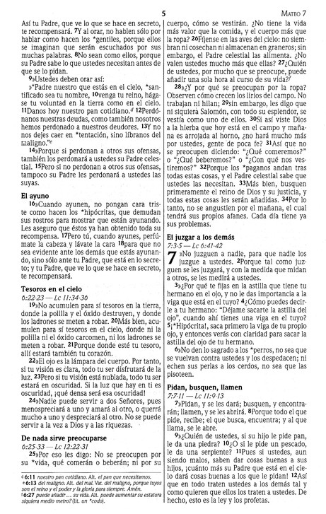 NVI Nuevo Testamento - Marrón - Joya - Tapa Blanda - Imagen 7