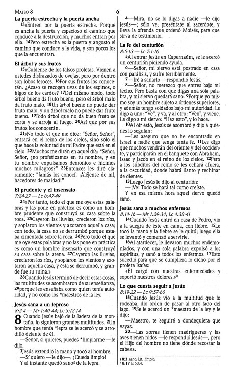 NVI Nuevo Testamento - Marrón - Joya - Tapa Blanda - Imagen 8