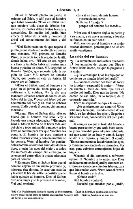 Biblia para Niños NVI - Tapa Blanda - Imagen 5