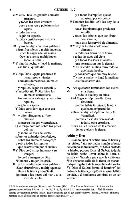 NVI Biblia Libre Entre Rejas - Prisión - Tapa Blanda - Imagen 4