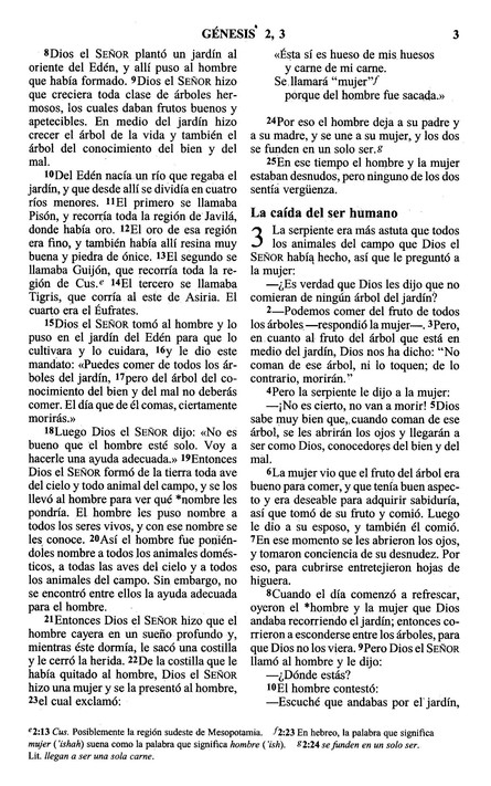 NVI Biblia Libre Entre Rejas - Prisión - Tapa Blanda - Imagen 5