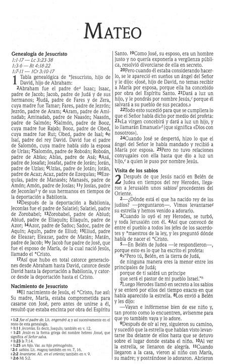 NVI Nuevo Testamento - Clásico Antiguo - Tapa Blanda - Imagen 3