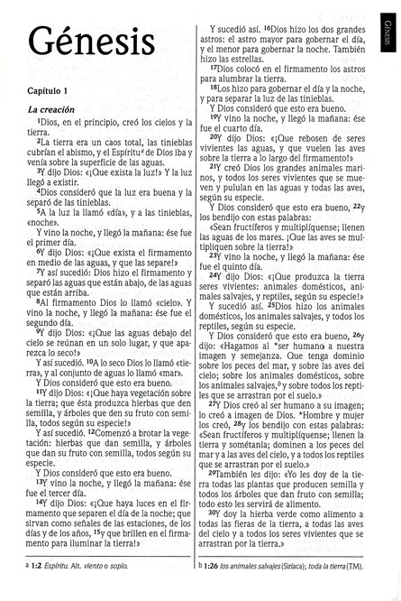 NVI Biblia Ultrafina con Concordancia - Imitación Piel - Vino - Imagen 3