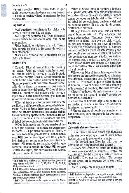 NVI Biblia Ultrafina con Concordancia - Imitación Piel - Vino - Imagen 4
