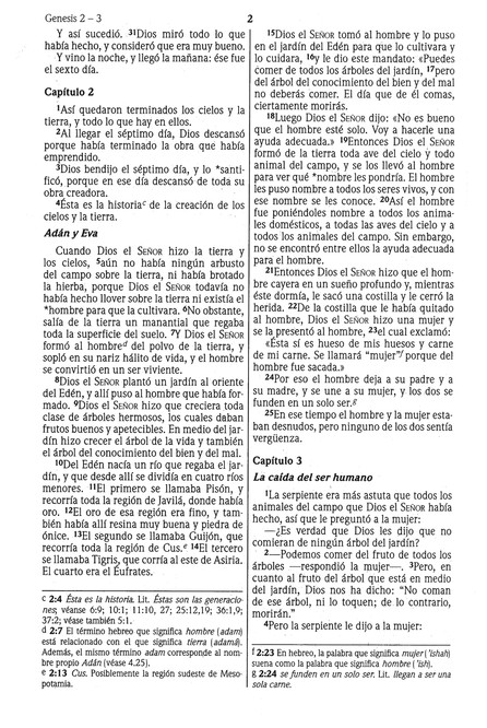 NVI Biblia Ultrafina con Concordancia - Imitación Piel - Vino - Imagen 5