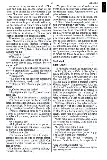 NVI Biblia Ultrafina con Concordancia - Imitación Piel - Vino - Imagen 6
