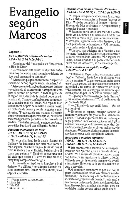 NVI Biblia Ultrafina con Concordancia - Imitación Piel - Vino - Imagen 7