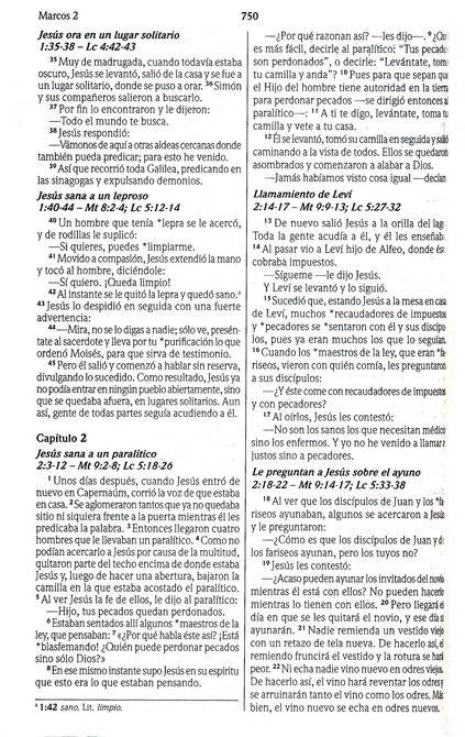 NVI Biblia Ultrafina con Concordancia - Imitación Piel - Vino - Imagen 8