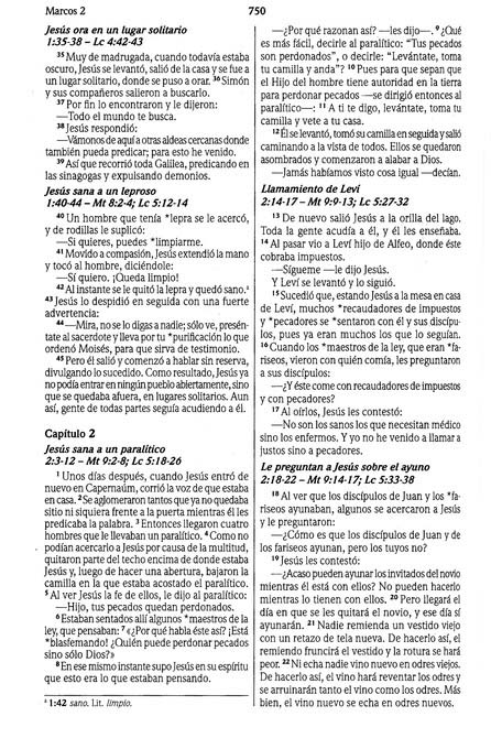 NVI Biblia Ultrafina con Concordancia - Imitación Piel - Vino - Imagen 9
