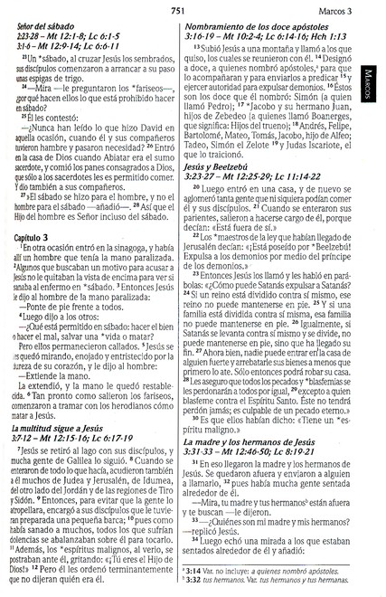 NVI Biblia Ultrafina con Concordancia - Imitación Piel - Vino - Imagen 10