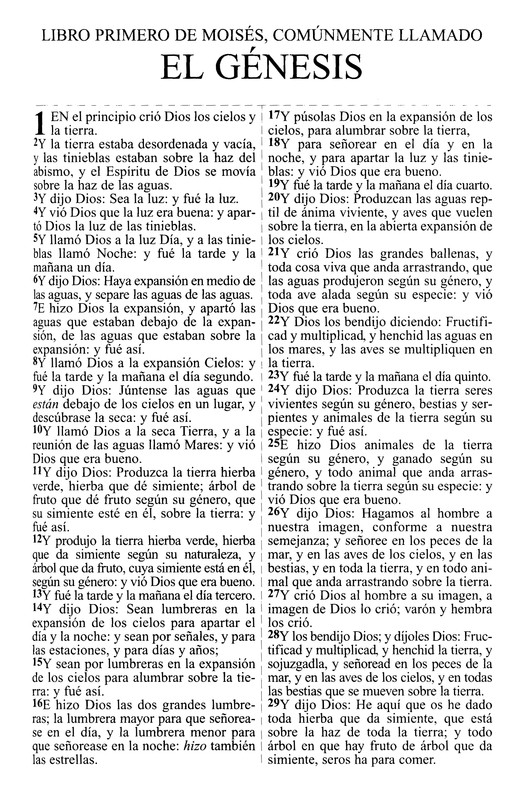 RVR 1909 Letra Grande -Tapa Blanda - Imagen 3