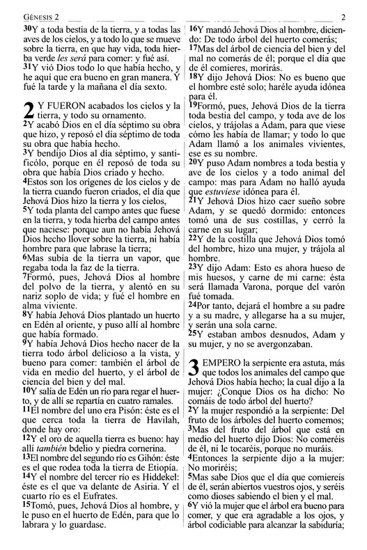 RVR 1909 Letra Grande -Tapa Blanda - Imagen 4