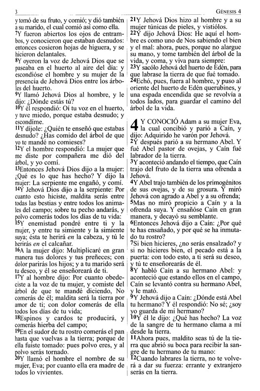 RVR 1909 Letra Grande -Tapa Blanda - Imagen 5