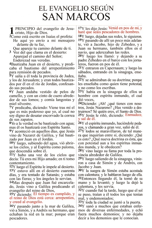 RVR 1909 Letra Grande -Tapa Blanda - Imagen 6