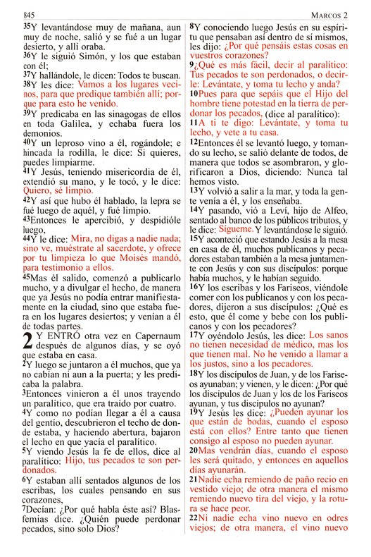 RVR 1909 Letra Grande -Tapa Blanda - Imagen 7