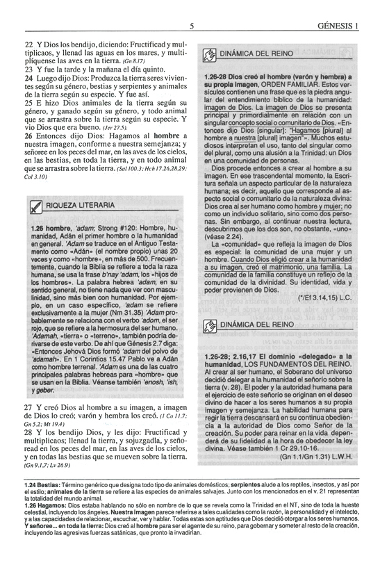 Biblia Plenitud RVR 1960, Tamaño Manual - Rústica - Imagen 5