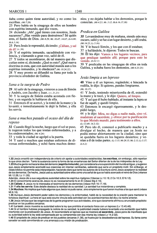 Biblia Plenitud RVR 1960, Tamaño Manual - Rústica - Imagen 8