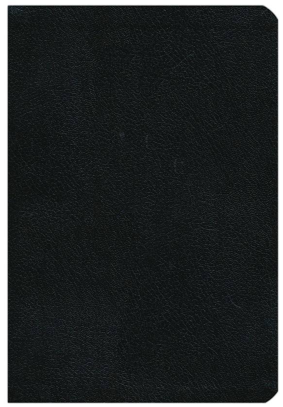 Biblia RVR 1960 Letra Grande, Imitación Piel Negra - Imagen 3