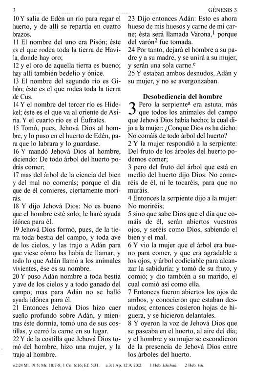 Biblia RVR 1960 Letra Grande, Imitación Piel Negra - Imagen 6