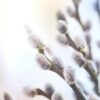 Jesús te Llama para Mamás - Tapa Blanda – Sarah Young - Imagen 6