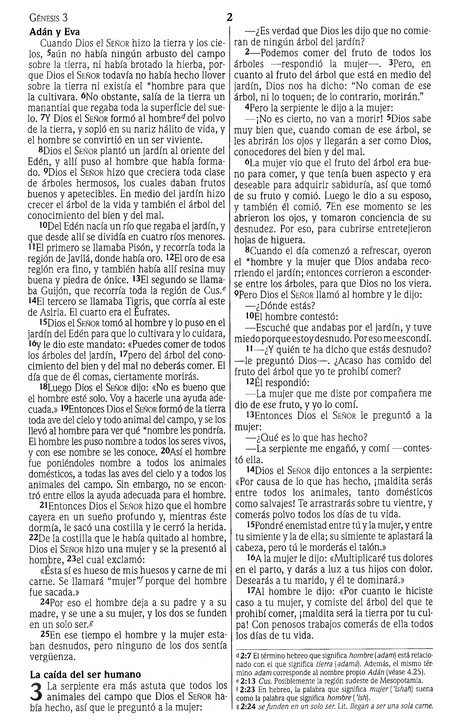 NVI Biblia Premios y Regalos - Imitación Piel - Duo Tono Café - Imagen 5