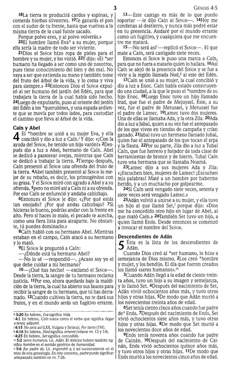 NVI Biblia Premios y Regalos - Imitación Piel - Duo Tono Café - Imagen 6