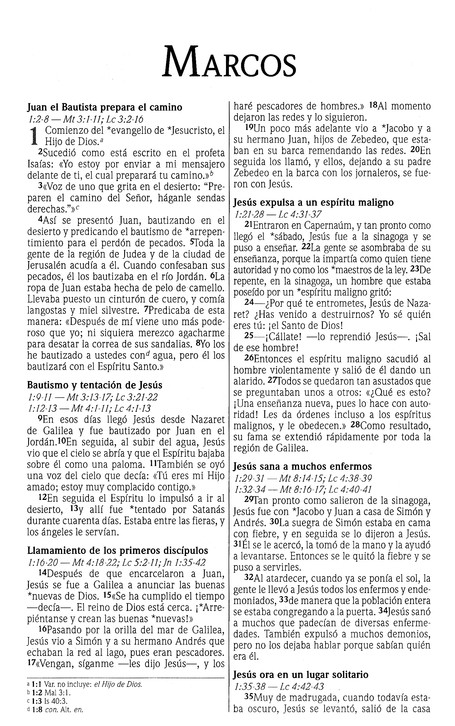 NVI Biblia Premios y Regalos - Imitación Piel - Duo Tono Café - Imagen 7