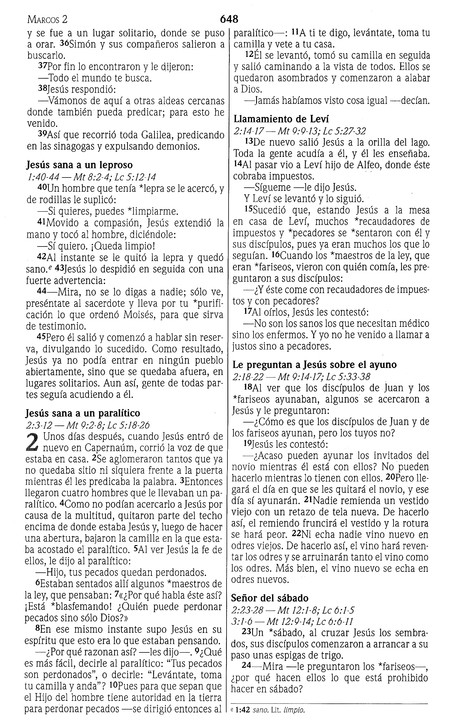 NVI Biblia Premios y Regalos - Imitación Piel - Duo Tono Café - Imagen 8