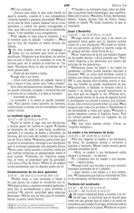 NVI Biblia Premios y Regalos - Imitación Piel - Duo Tono Café - Imagen 9