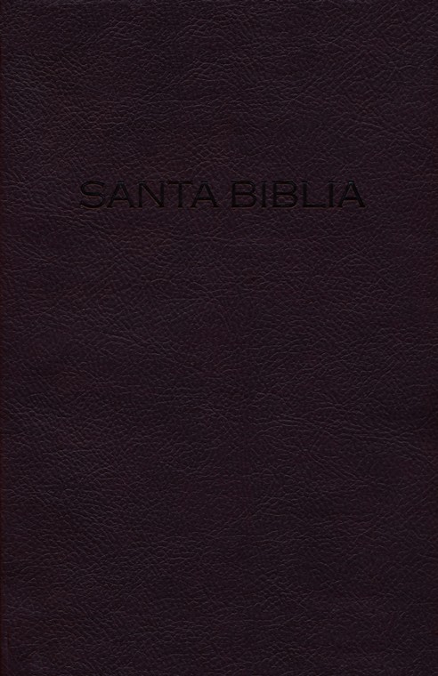NVI Biblia Premios y Regalos - Imitación Piel - Vino - Imagen 3