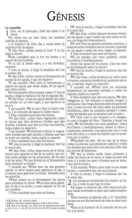 NVI Biblia Premios y Regalos - Imitación Piel - Vino - Imagen 4