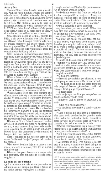 NVI Biblia Premios y Regalos - Imitación Piel - Vino - Imagen 5