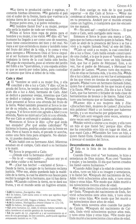NVI Biblia Premios y Regalos - Imitación Piel - Vino - Imagen 6