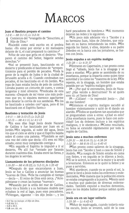 NVI Biblia Premios y Regalos - Imitación Piel - Vino - Imagen 7