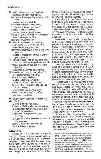 NVI Santa Biblia Precious Moments, Angelitos, Ultrafina Compacta Aqua - Imagen 5