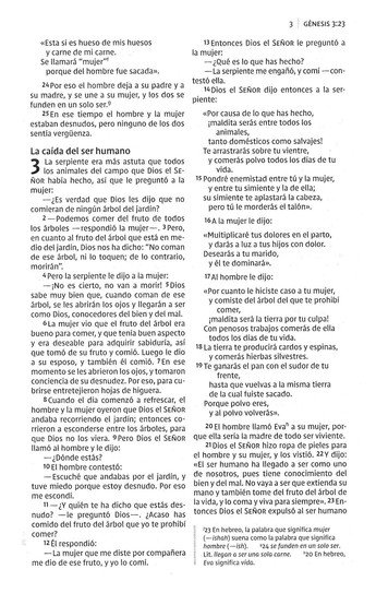 NVI Santa Biblia Precious Moments, Angelitos, Ultrafina Compacta Aqua - Imagen 6