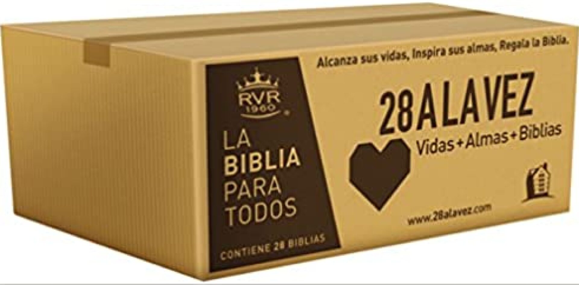 RVR60 Santa Biblia Edición Económica Caja de 28 - Tapa Blanda