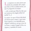 Princesita de Dios Biblia Devocional - Tapa Dura - Sheila Walsh - Imagen 9
