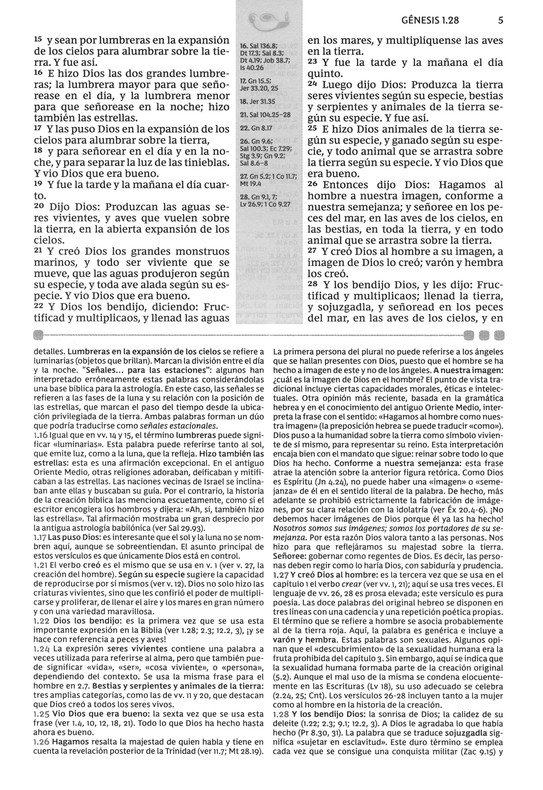 Santa Biblia de Estudio Reina Valera Revisada - Tapa Dura - Imagen 4