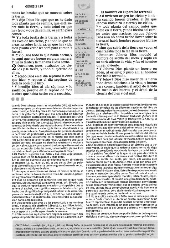 Santa Biblia de Estudio Reina Valera Revisada - Tapa Dura - Imagen 5