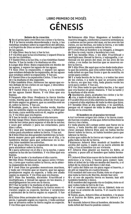 Santa Biblia RVR, Edición Económica - Tapa Blanda - La Caja contiene 28 Biblias - Imagen 3