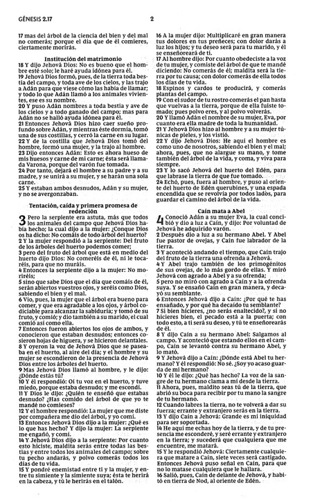 Santa Biblia RVR, Edición Económica - Tapa Blanda - La Caja contiene 28 Biblias - Imagen 4