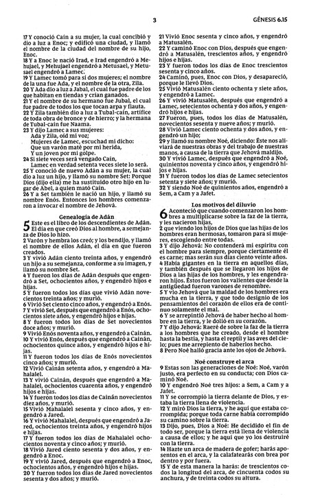 Santa Biblia RVR, Edición Económica - Tapa Blanda - La Caja contiene 28 Biblias - Imagen 5