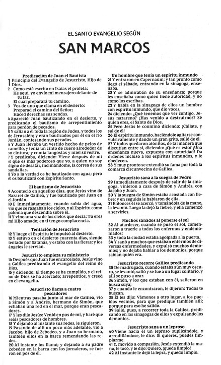 Santa Biblia RVR, Edición Económica - Tapa Blanda - La Caja contiene 28 Biblias - Imagen 6
