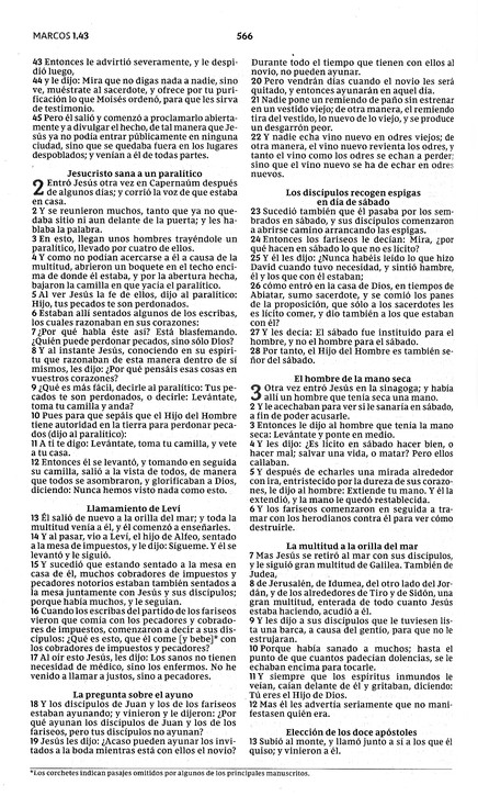 Santa Biblia RVR, Edición Económica - Tapa Blanda - La Caja contiene 28 Biblias - Imagen 7