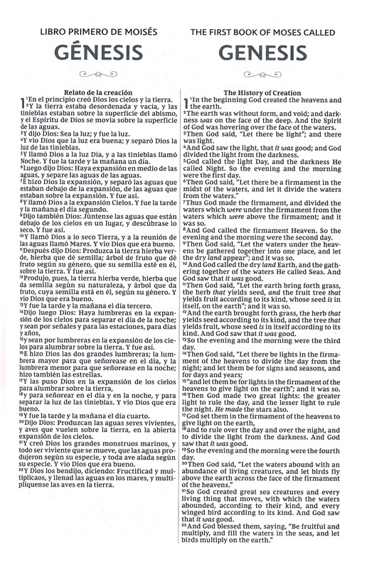 Biblia Bilingüe RVR - NKJV - Rústica - Imagen 3