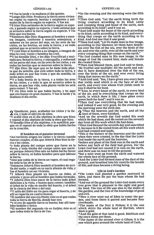 Biblia Bilingüe RVR - NKJV - Rústica - Imagen 4