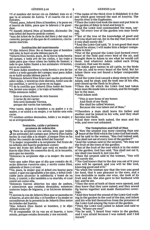 Biblia Bilingüe RVR - NKJV - Rústica - Imagen 5