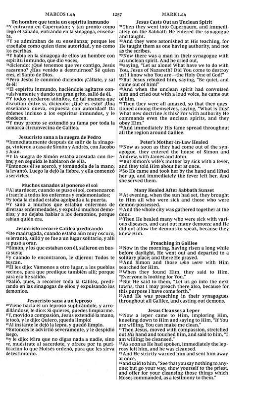 Biblia Bilingüe RVR - NKJV - Tapa Dura - Imagen 7